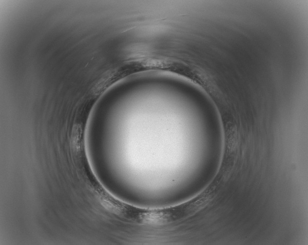 X0000080670273200612221124