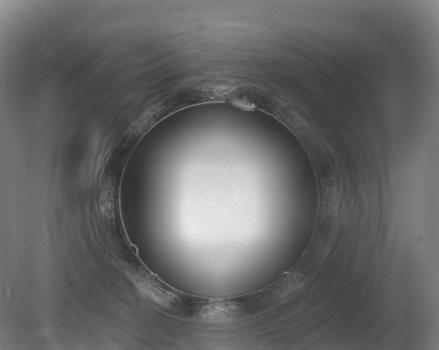 X0000080670274200612221124