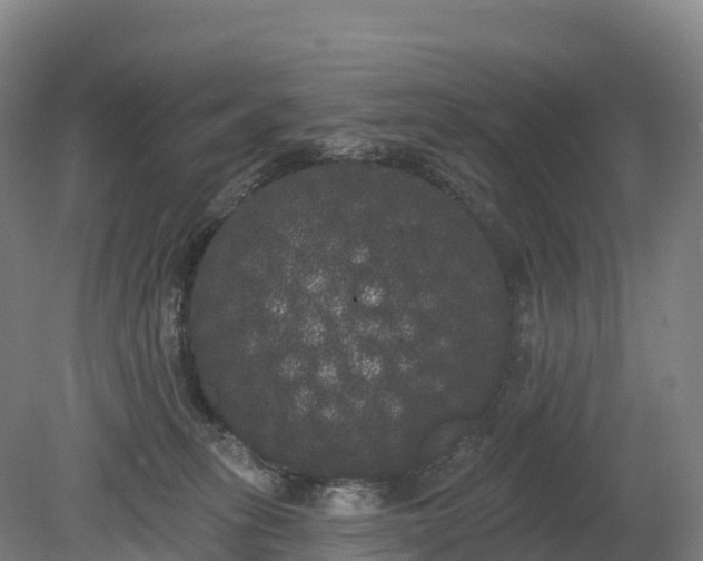 X0000080670275200612221124