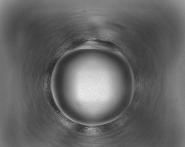 X0000080670277200612221125