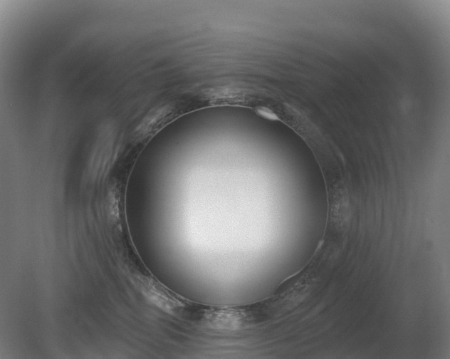 X0000080670282200612221125