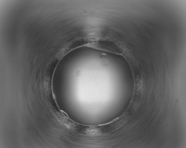 X0000080670283200612221125