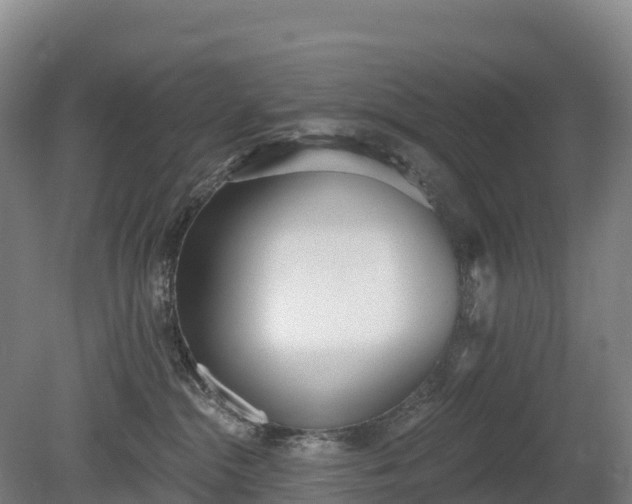 X0000080670284200612221125