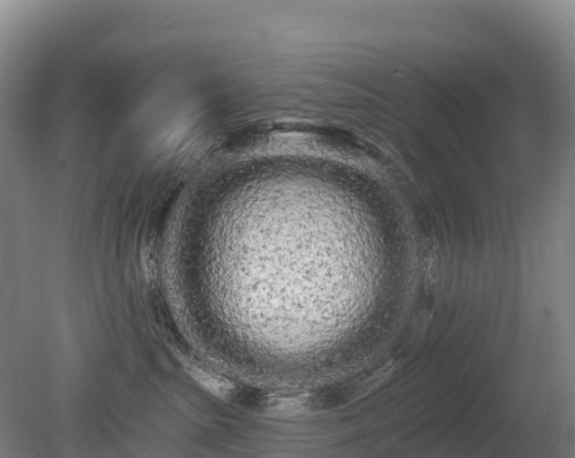 X0000080670285200612221125