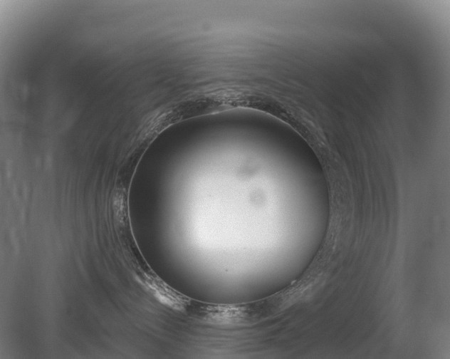 X0000080670288200612221125