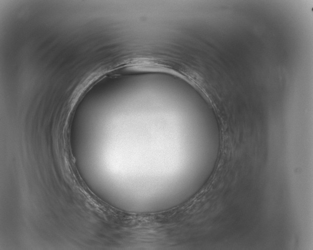 X0000080670289200612221124