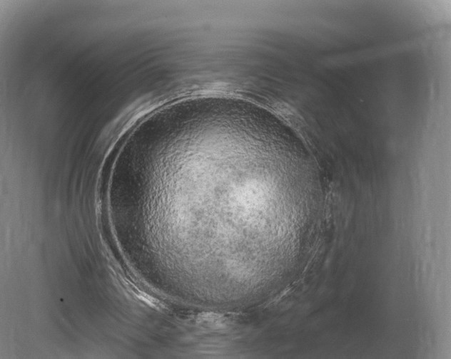 X0000080670290200612221124