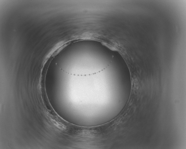 X0000080670292200612221124