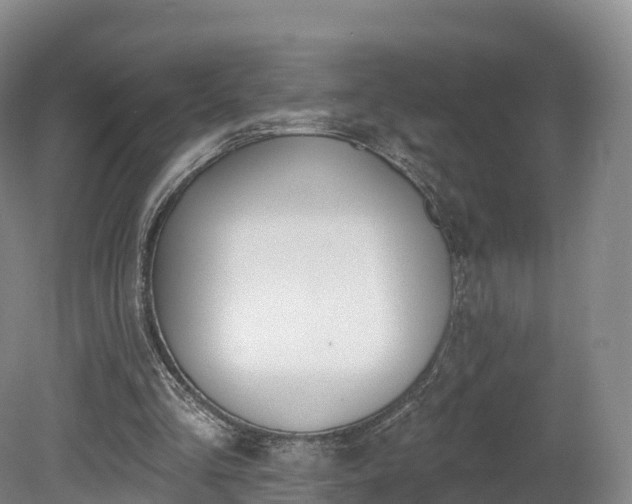 X0000080670293200612221124