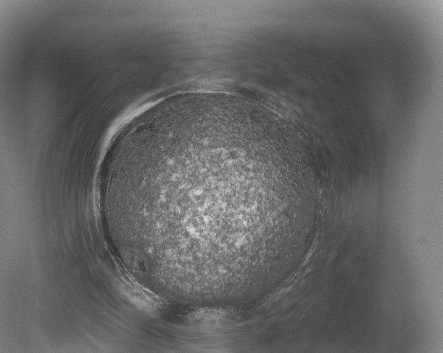 X0000080670294200612221124