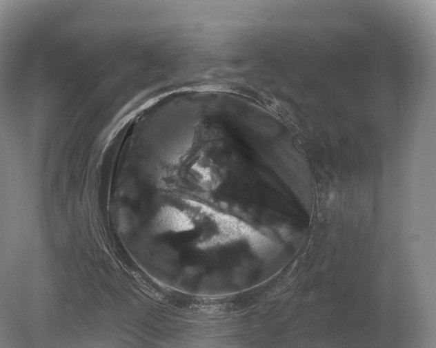 X0000080670295200612221124