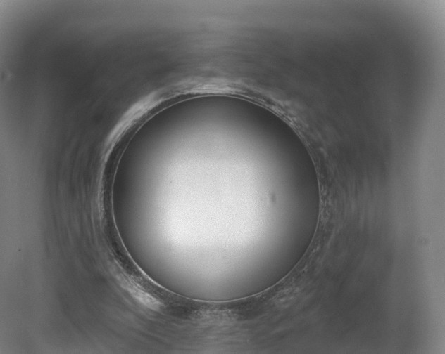 X0000080670296200612221124