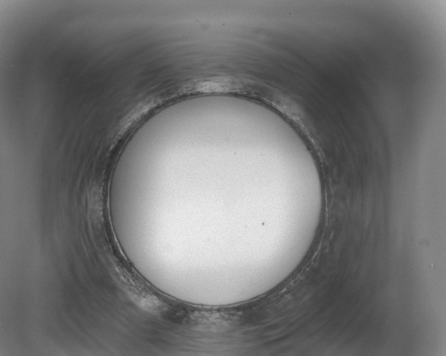 X0000080670297200612221124