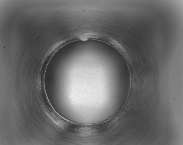 X0000080670298200612221124