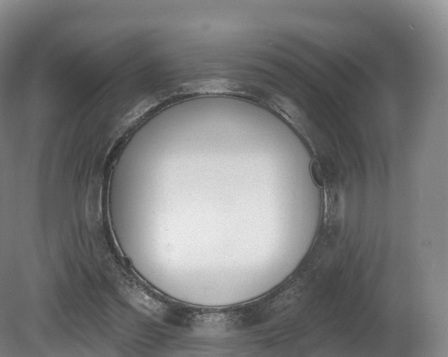 X0000080670301200612221124