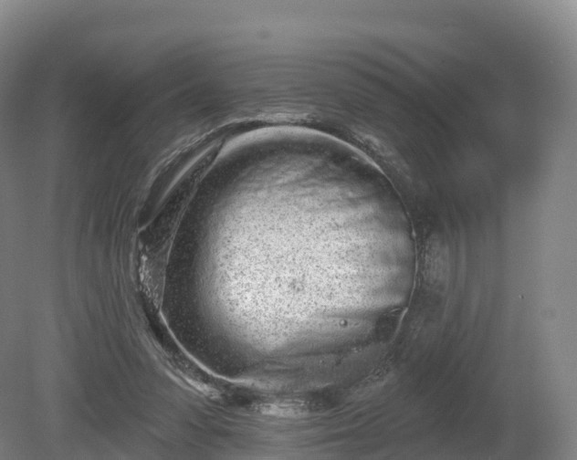 X0000080670303200612221124