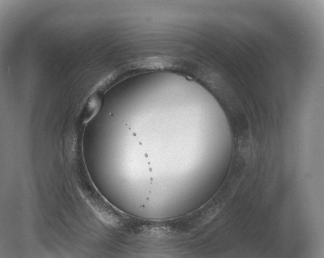 X0000080670304200612221124