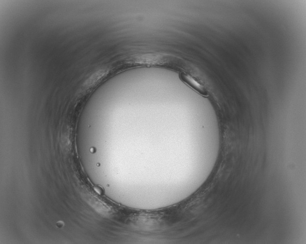 X0000080670305200612221124