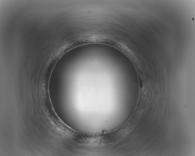 X0000080670306200612221124