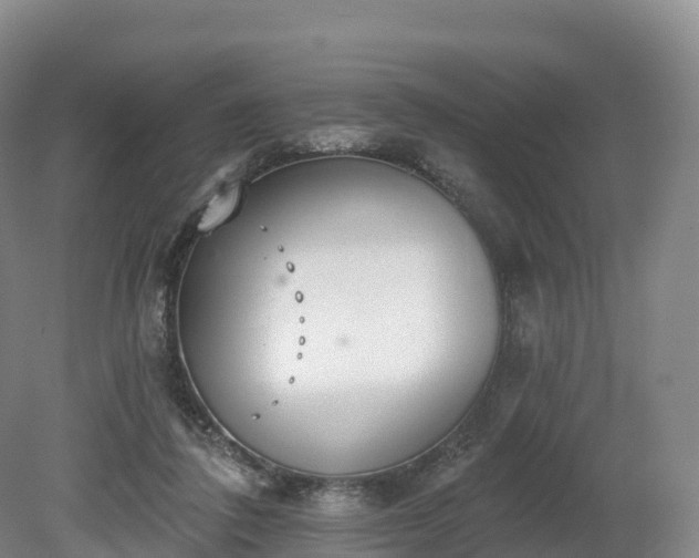 X0000080670308200612221124