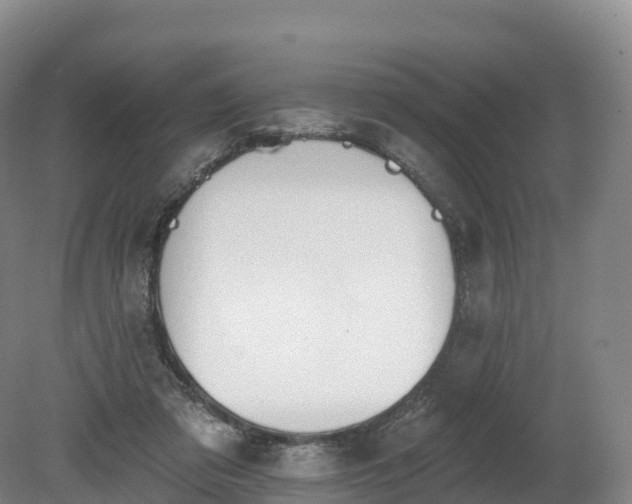 X0000080670309200612221124