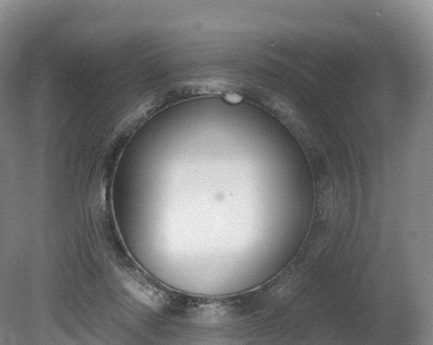 X0000080670310200612221124