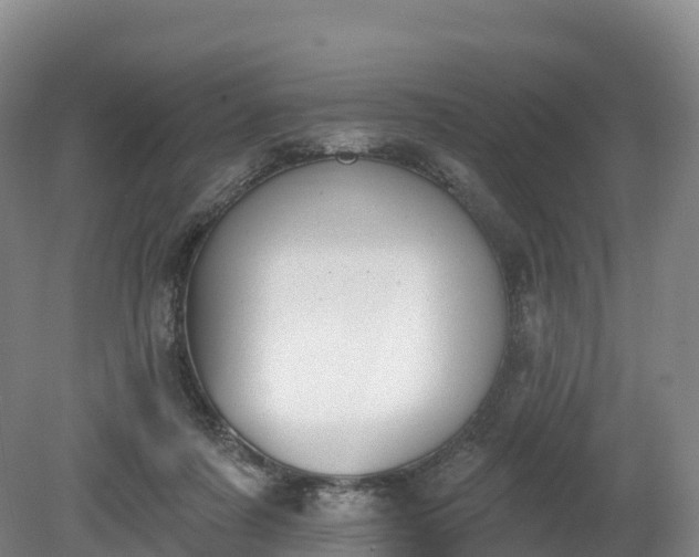 X0000080670311200612221124