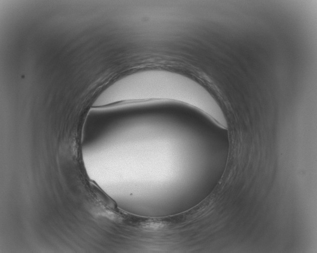 X0000080670313200612221123