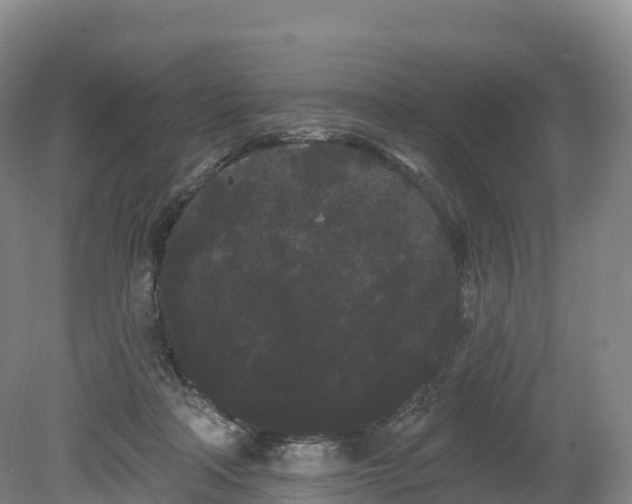 X0000080670314200612221123