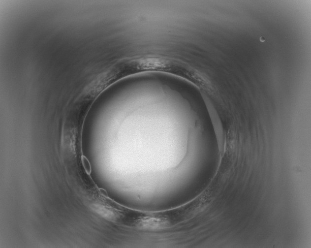 X0000080670315200612221123