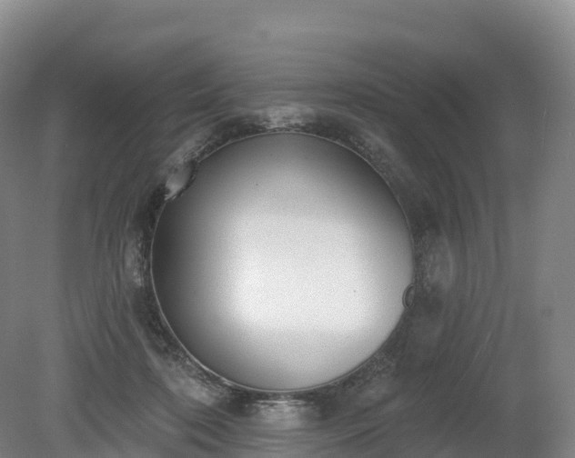 X0000080670316200612221123