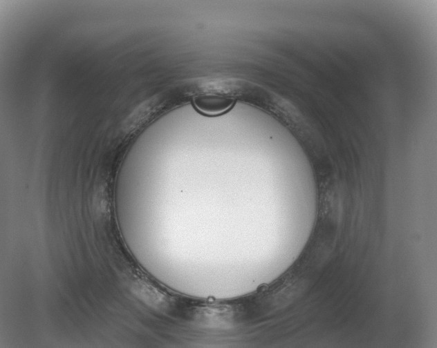 X0000080670317200612221123