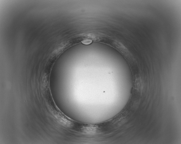 X0000080670318200612221123