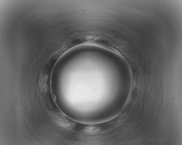 X0000080670319200612221123