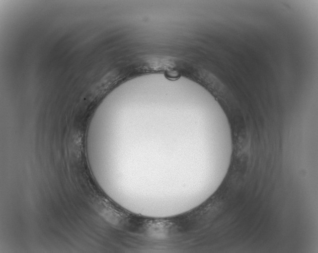 X0000080670321200612221123