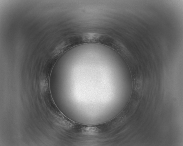 X0000080670324200612221123