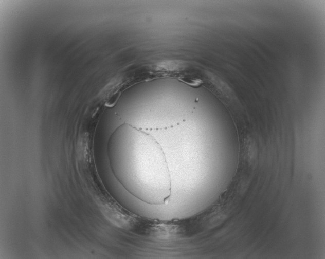 X0000080670328200612221123