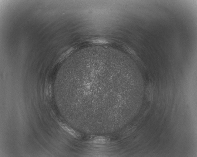 X0000080670330200612221123