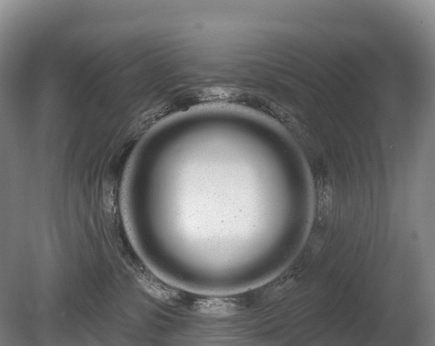 X0000080670331200612221123