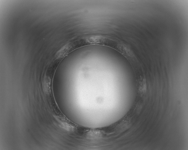 X0000080670332200612221123