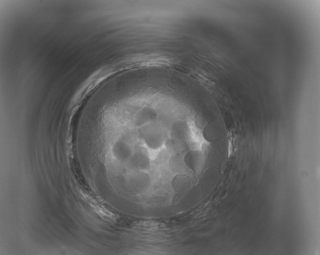 X0000080670339200612221122