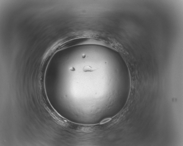 X0000080670341200612221122