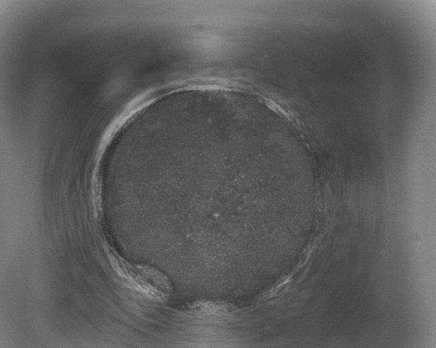 X0000080670343200612221122