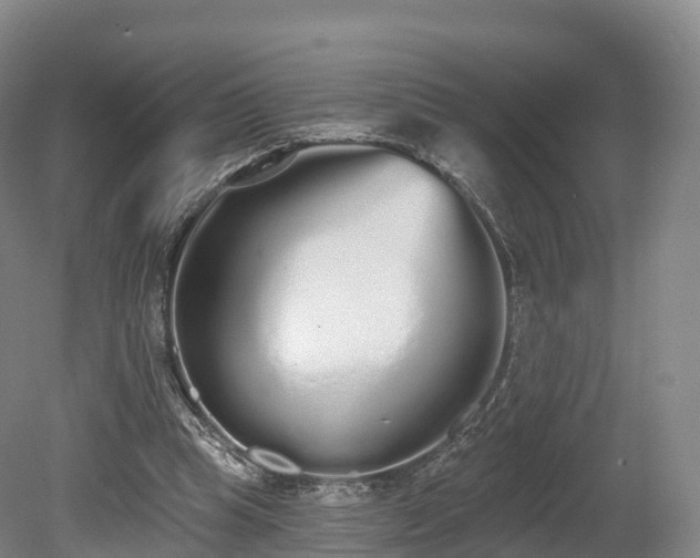 X0000080670345200612221122