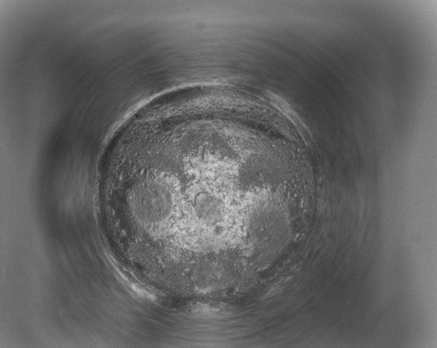 X0000080670346200612221122