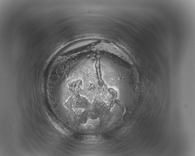 X0000080670347200612221122