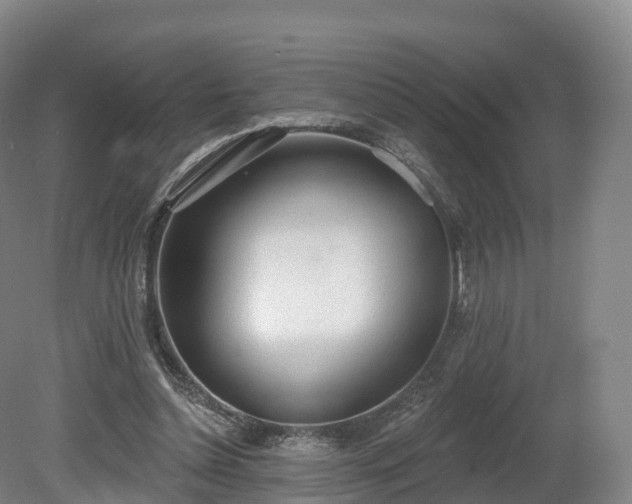 X0000080670348200612221122