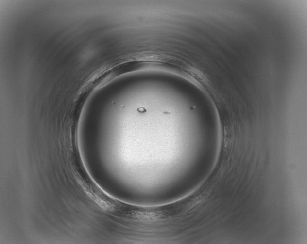 X0000080670349200612221122