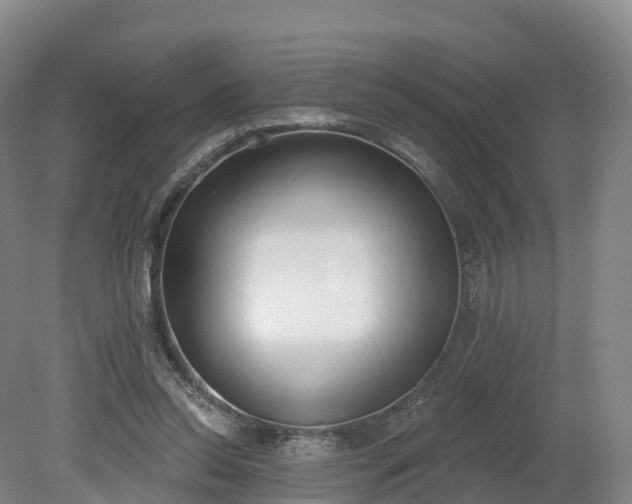 X0000080670350200612221123