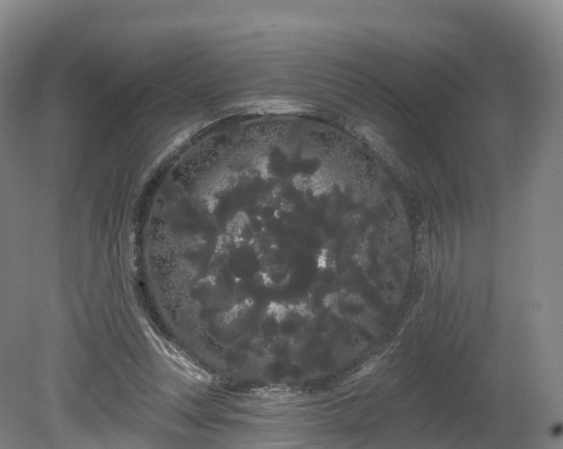 X0000080670351200612221123